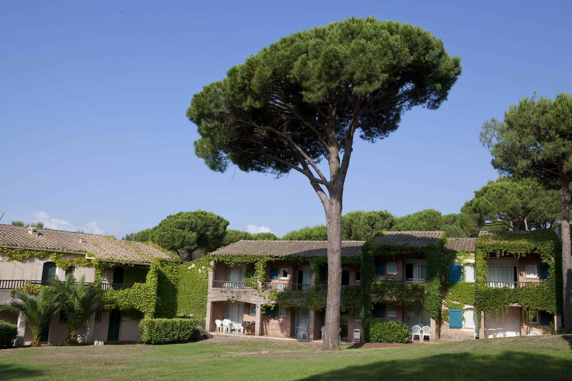 Saint-Raphaël Residence Pierre & Vacances Valescure المظهر الخارجي الصورة